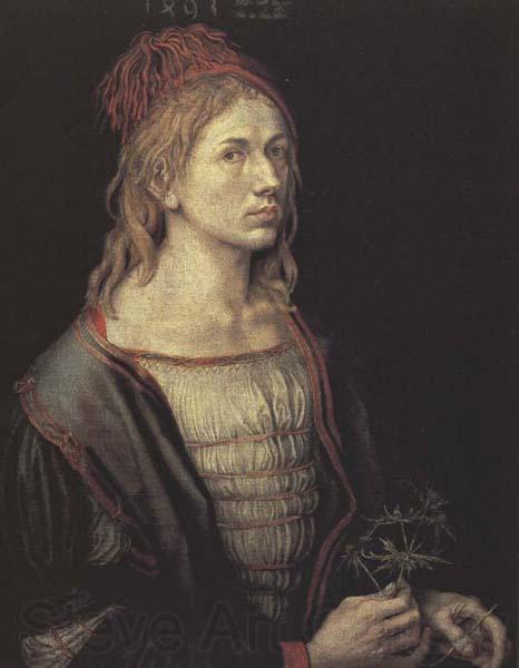 Albrecht Durer Portrait of the Artist with a Thistle Spain oil painting art